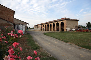 CAS_Azienda agricola Mascudiera