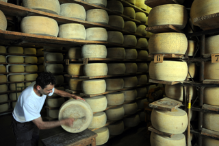 SIM_51 produzione del formaggio - il Grana Padano
