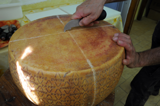SIM_52 produzione del formaggio - il Grana Padano, incisione