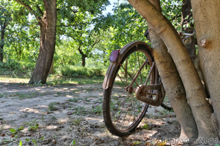 in pianura si va in bicicletta