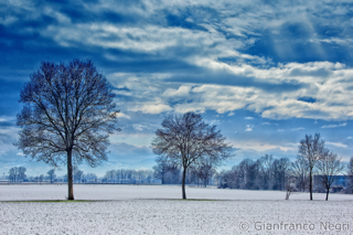 inverno di pianura